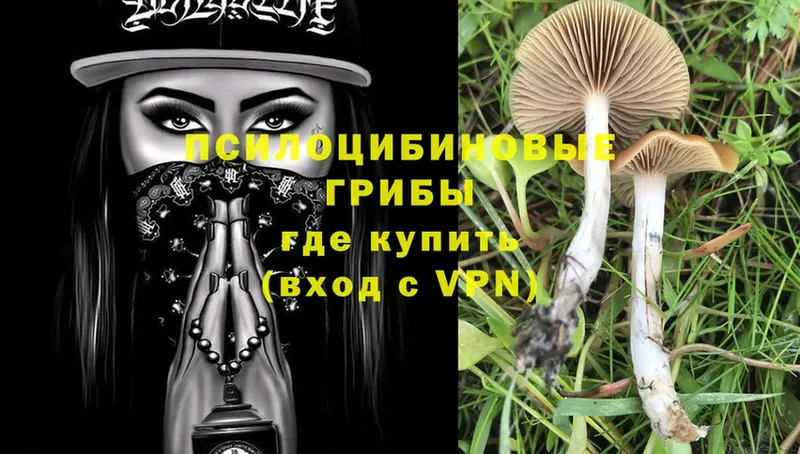 Псилоцибиновые грибы Magic Shrooms  Гурьевск 